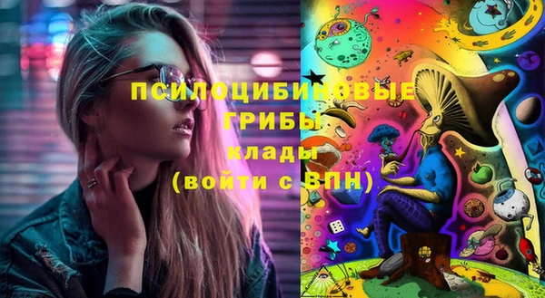 ECSTASY Покачи