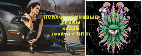 ECSTASY Покачи