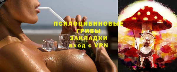 ECSTASY Покачи